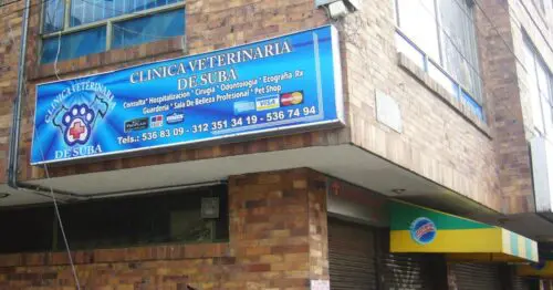CLINICA VETERINARIA DE SUBA CALLE 153 100B CON 26 CLINICA VETERINARIA DE SUBA CALLE 153 100B CON 26